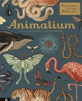 V cudzom jazyku Animalium - Jenny Broom,Katie Scott
