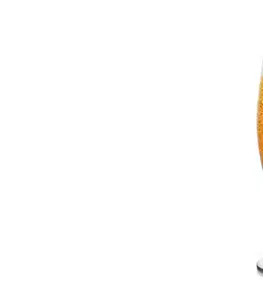 séria CREMA Tescoma pohár na pivo CREMA 300 ml