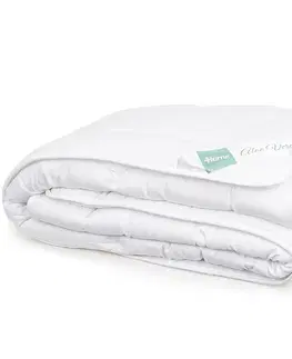 Prikrývky 4Home Set prikrývky a vankúša Aloe Premium, 140 x 220 cm, 70 x 90 cm