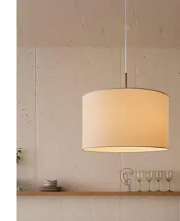 Svietidlá Eglo 31571 - Luster na lanku PASTERI 1xE27/60W/230V 31571