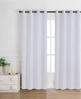 Záclony do obývačky Záclona na krúžkoch Anabel silver RP493 290x245 cm