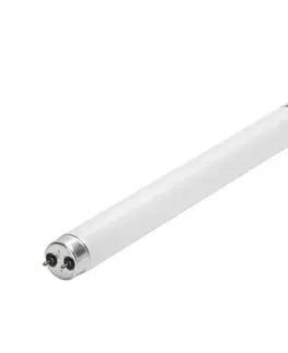 Svietidlá UV žiarivková trubica pre lapač hmyzu G13/10W/230V 36,5 cm - BRILAGI B10503ACTL