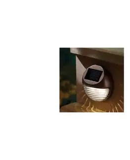 Záhradné lampy  LED Solárne svietidlo 2xLED/0,12W/1,2V 300 mAh 6500K IP44 303691