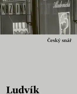 Česká beletria Český snář - s komentářovým výkladem - Ludvík Vaculík