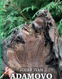 Slovenská poézia Adamovo rúcho - Jozef Ivan