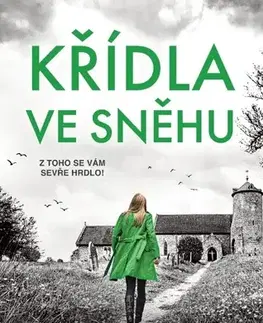 Detektívky, trilery, horory Křídla ve sněhu - Patricia Gibney