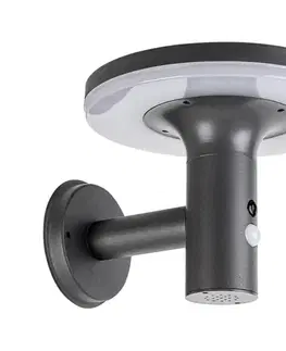 Záhradné lampy Rabalux 77017 - LED Solárne svietidlo so senzorom ALASKA LED/10W/3,7V IP44 77017