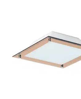 Svietidlá Rabalux 3045 - LED stropné svietidlo LARS 1xLED/12W/230V 3045