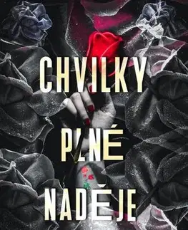 Romantická beletria Chvilky plné naděje - Vendula Frydrychová