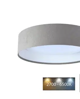 Svietidlá  LED Stropné svietidlo SMART GALAXY LED/24W/230V Wi-Fi Tuya šedá/biela + DO 