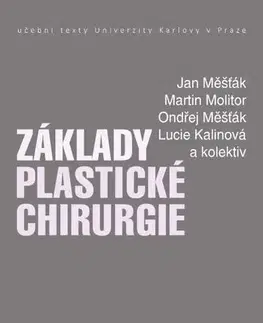 Chirurgia, ortopédia, traumatológia Základy plastické chirurgie - Jan Měšťák,Martin,Ondřej Měšťák,Lucie Kalinová a kolektiv