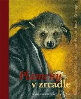 Novely, poviedky, antológie Plameny v zrcadle - Zdeněk Hron