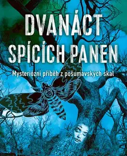 Detektívky, trilery, horory Dvanáct spících panen - Veronika Rubínková