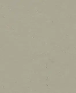 Marmoleum solid concrete FORBO Marmoleum solid concrete Orbit 3724