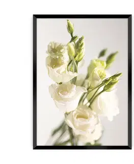 Obrazy Plagát Elegant Flowers