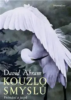 Filozofia Kouzlo smyslů - David Abram