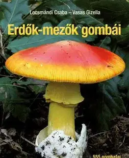 Záhrada - Ostatné Erdők-mezők gombái - Javított utánnyomás - Kolektív autorov