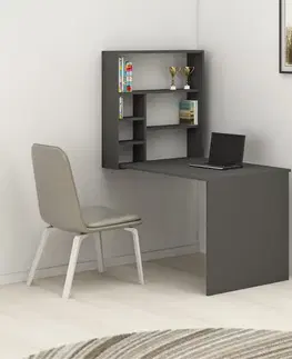 Písacie stoly Písací stôl Sedir - Anthracite