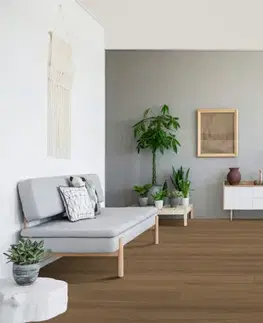Trendtime 6 laminát PARADOR Trendtime 6 Dub studioLine medový 1744708