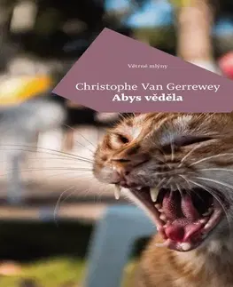 Novely, poviedky, antológie Větrné mlýny Abys věděla