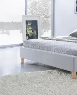Postele Posteľ SANDY 160 Halmar