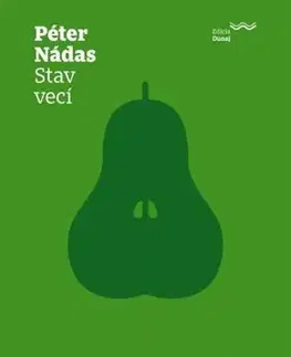 Eseje, úvahy, štúdie Stav vecí - Péter Nádas