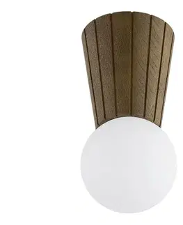 Svietidlá Argon 8974 - Kúpeľňové stropné svietidlo VOLANTE 1xG9/6W/230V IP44 pr. 12 cm hnedé 8974