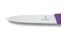 Kuchynské nože VICTORINOX Nôž na ovocie a zeleninu 10 cm VICTORINOX Polypropylen 10 cm  Tyrkysová