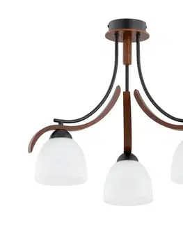 Svietidlá  Prisadený luster BAFIA 3xE27/15W/230V hnedá 62422