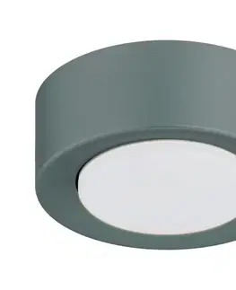 Svietidlá Argon 8917 - Stropné svietidlo ELORA 1xGX53/7W/230V Ø 11 cm sivé 8917