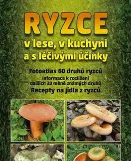 Šaláty, zelenina, ovocie Ryzce v lese, v kuchyni a s léčivými účinky - Radomír Socha