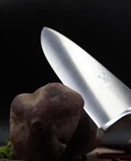Kuchynské nože IVO Nôž kuchársky IVO Premier 20 cm 90039.20