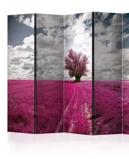 Paravány Paraván Magenta meadow Dekorhome