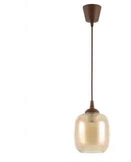 Svietidlá Brilagi - LED luster na lanku R GLASS 1xE27/60W/230V pr. 14 cm hnedá/dymovo-hnedá NSTK7765+TK8611A