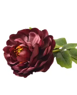 Záhradné dekorácie Iskerník 60cm bordová A2010588