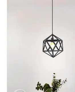 Svietidlá Eglo 49761 - Závesné svietidlo EMBLETON 1xE27/60W/230V 49761
