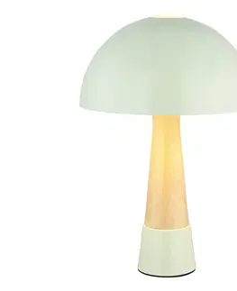 Lampy Globo 51570114 - Stolná lampa PAULIN 1xE27ILLU/40W/230V zelená 51570114