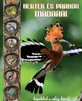 Príroda Kertek és parkok madarai