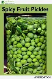 Kuchárky - ostatné Spicy Fruit Pickles