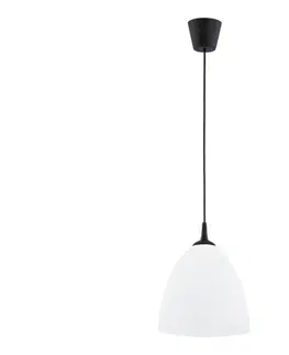 Svietidlá  Luster na lanku LERA 1xE27/15W/230V čierna 61466