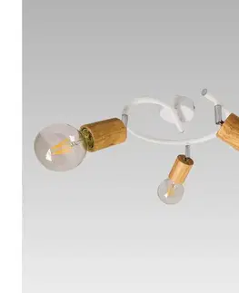 Svietidlá Prezent  - Prisadený luster VEDMA 3xE27/40W/230V 