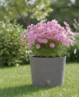 Záhradné kvetináče ProsperPlast Kvetináč RATO ROUND s vkladom | mocca 40 cm