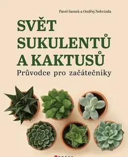 Izbové rastliny Svět sukulentů a kaktusů - Pavel Samek,Ondřej Nekvinda