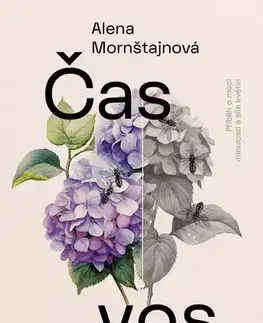 Česká beletria Čas vos - Alena Mornštajnová