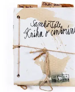Slovenská beletria Samko Tále: Kniha o cintoríne (zberateľská edícia) + audiokniha - Daniela Kapitáňová