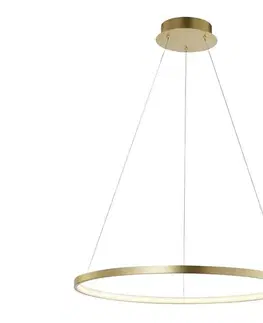 LED osvetlenie Leuchten Direkt 11524-12 - LED Luster na lanku CIRCLE LED/28,5W/230V 11524-12