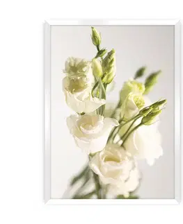 Obrazy Plagát Elegant Flowers
