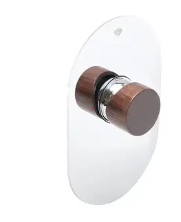 Kúpeľňové batérie Sprchová batéria SAT Fusion vrátane podomietkového telesa tmavé drevo SATBSFU210DT SATBSFU210DT