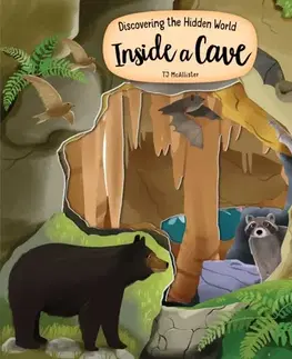 Leporelá, krabičky, puzzle knihy Discovering the Hidden World Inside a Cave - TJ McAllister