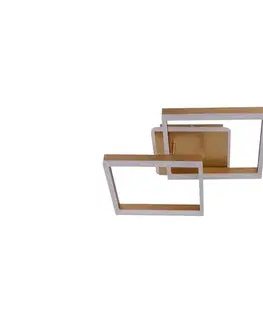 Svietidlá  Stmievateľné LED stropné svietidlo LED/80W/230V 3000-6500K + diaľkové ovládanie J3366/G